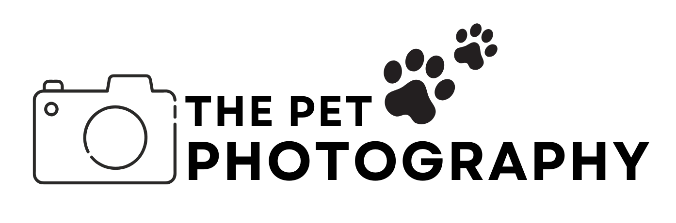 The Pet Photography